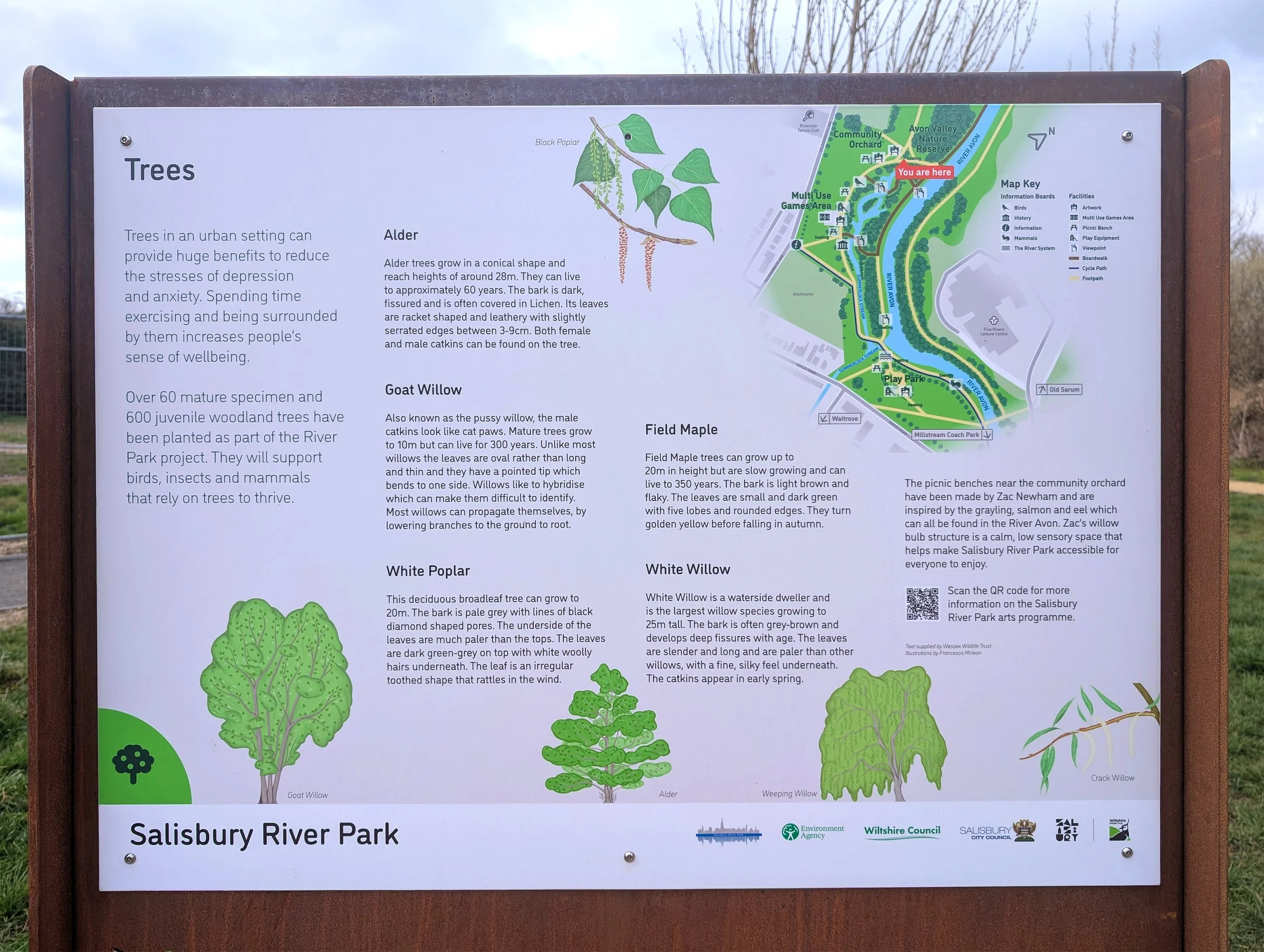 trees sign 1.jpg