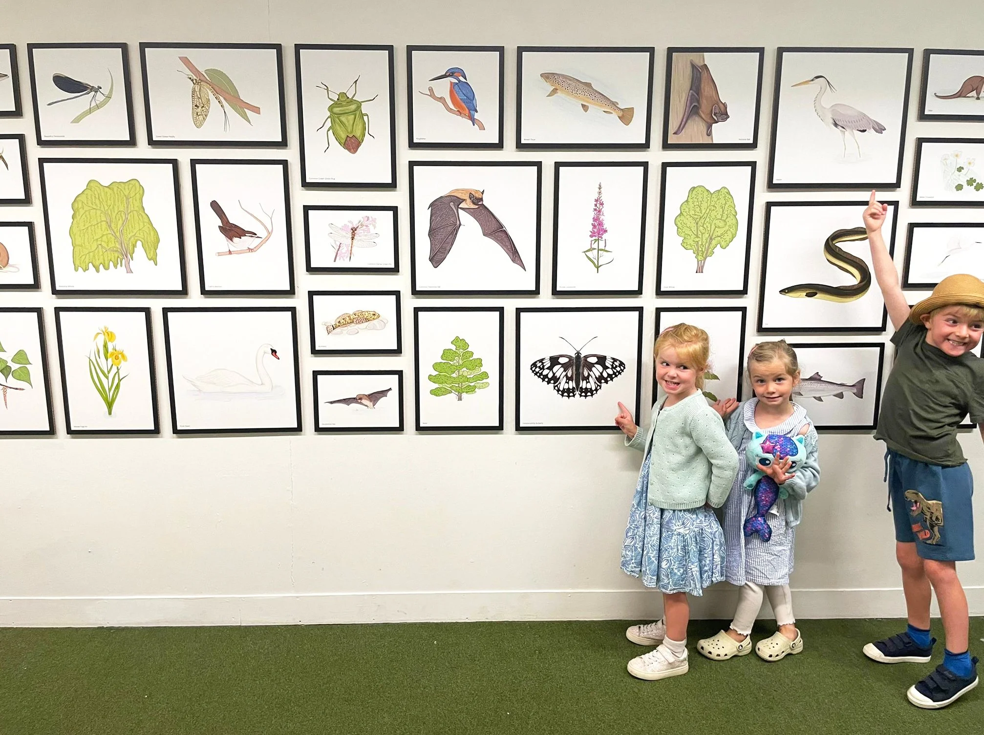 gallery 2.jpg