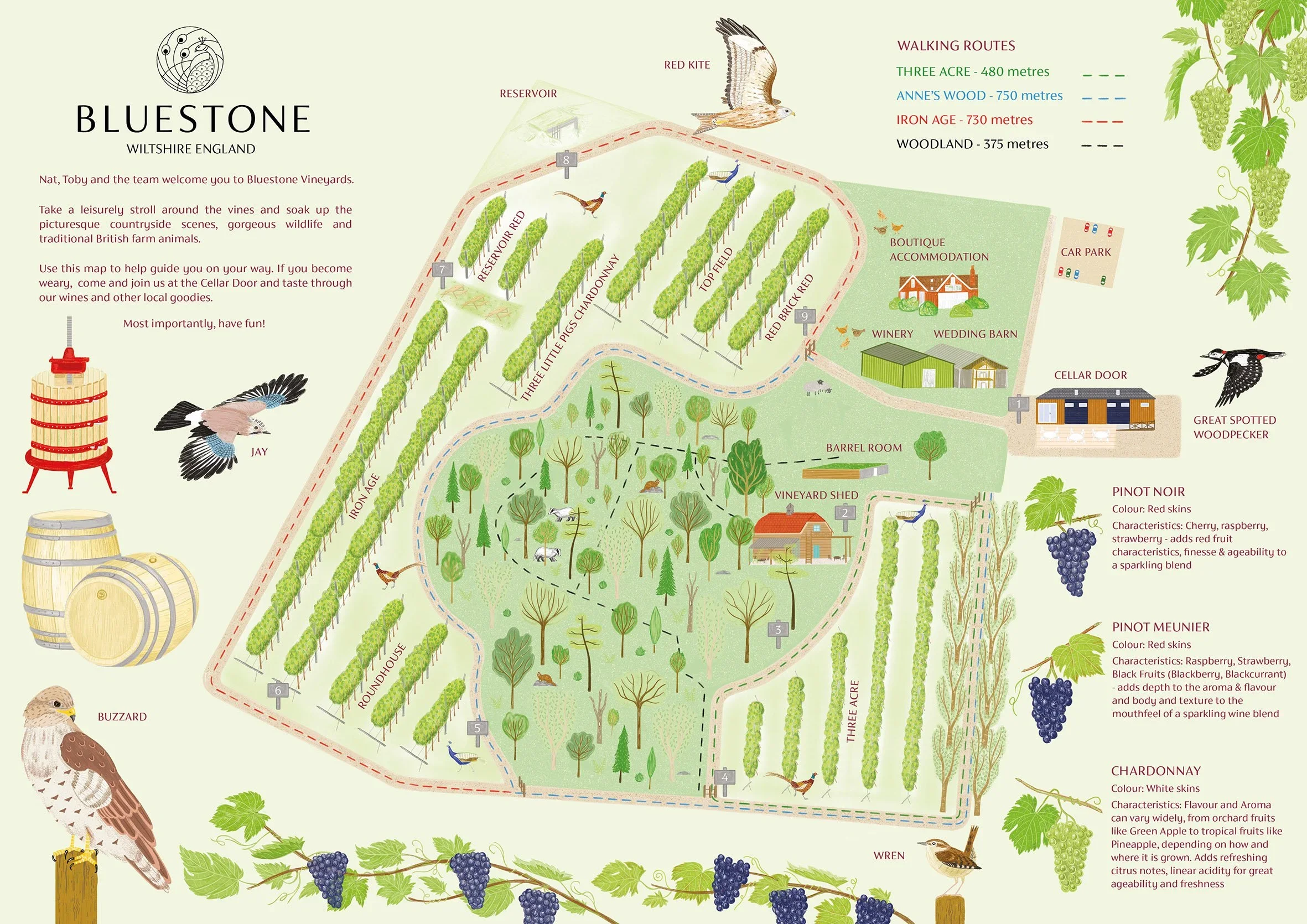Bluestone Vineyards Map