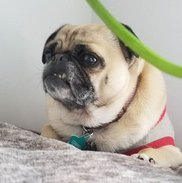 From My Pod to Yours &lt;3