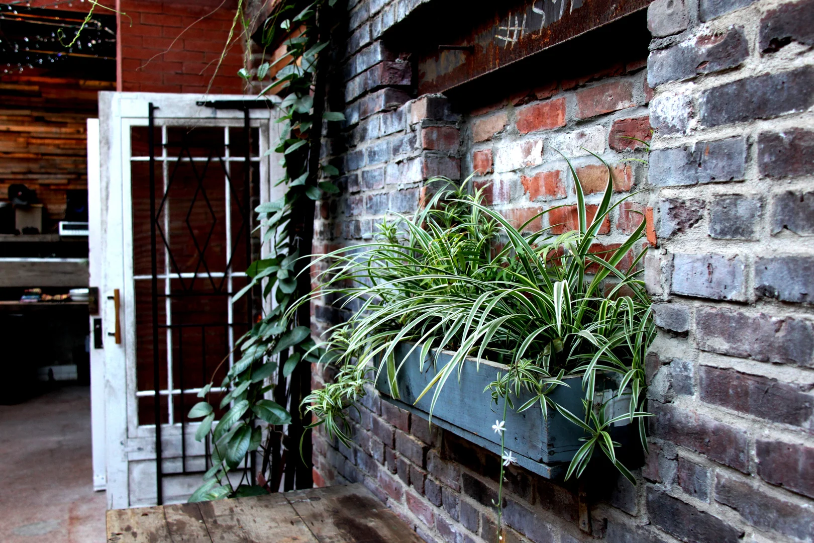 The Garden