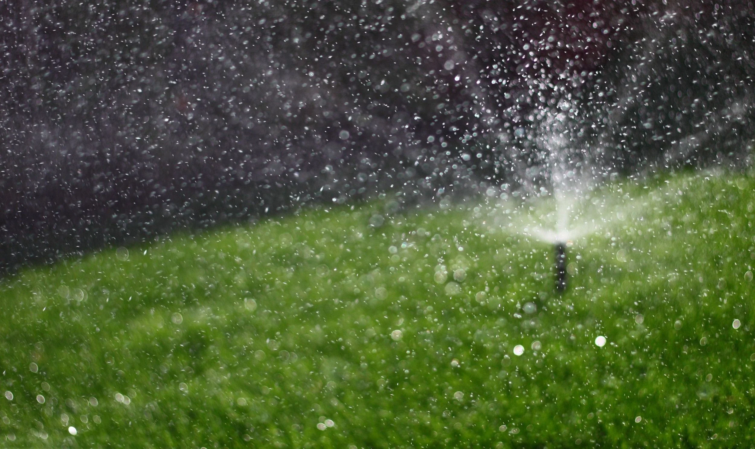 irrigation,-lawn,-drops-of-water-163459.jpg