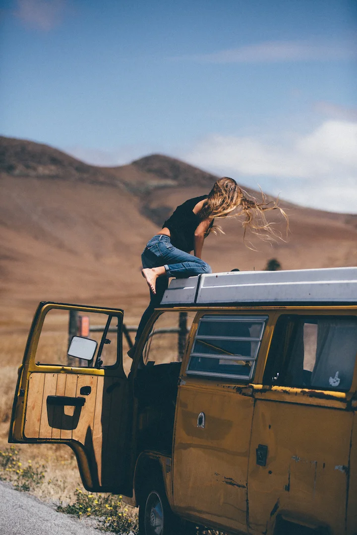 Wild And Free