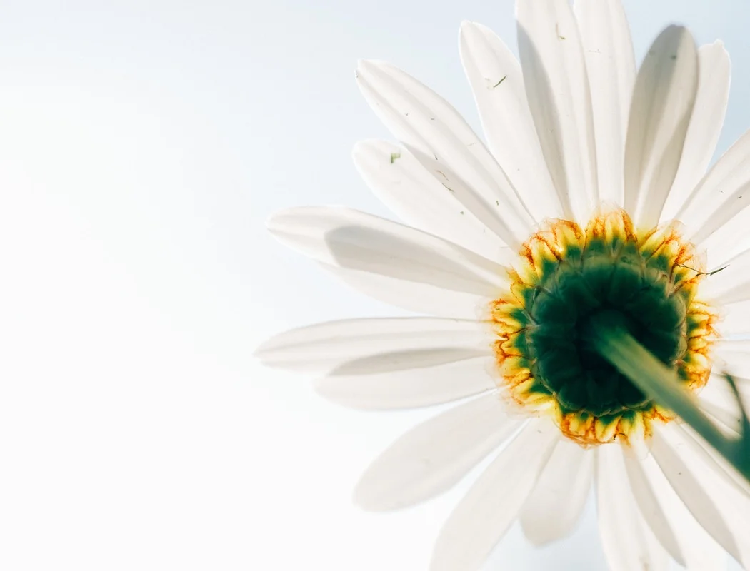 How I learned the art of quitting