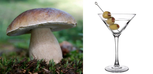 Mushroom and Martini.jpg