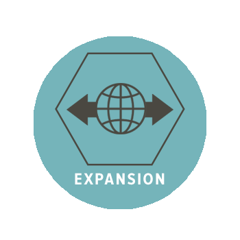 Expansion Icon NEW.png