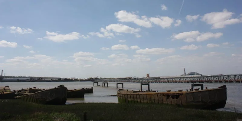 Through the Marshes.jpg