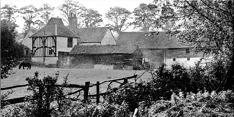 GUIDED WALK: From Pimp Hall to Ale House Field (Chingford)
