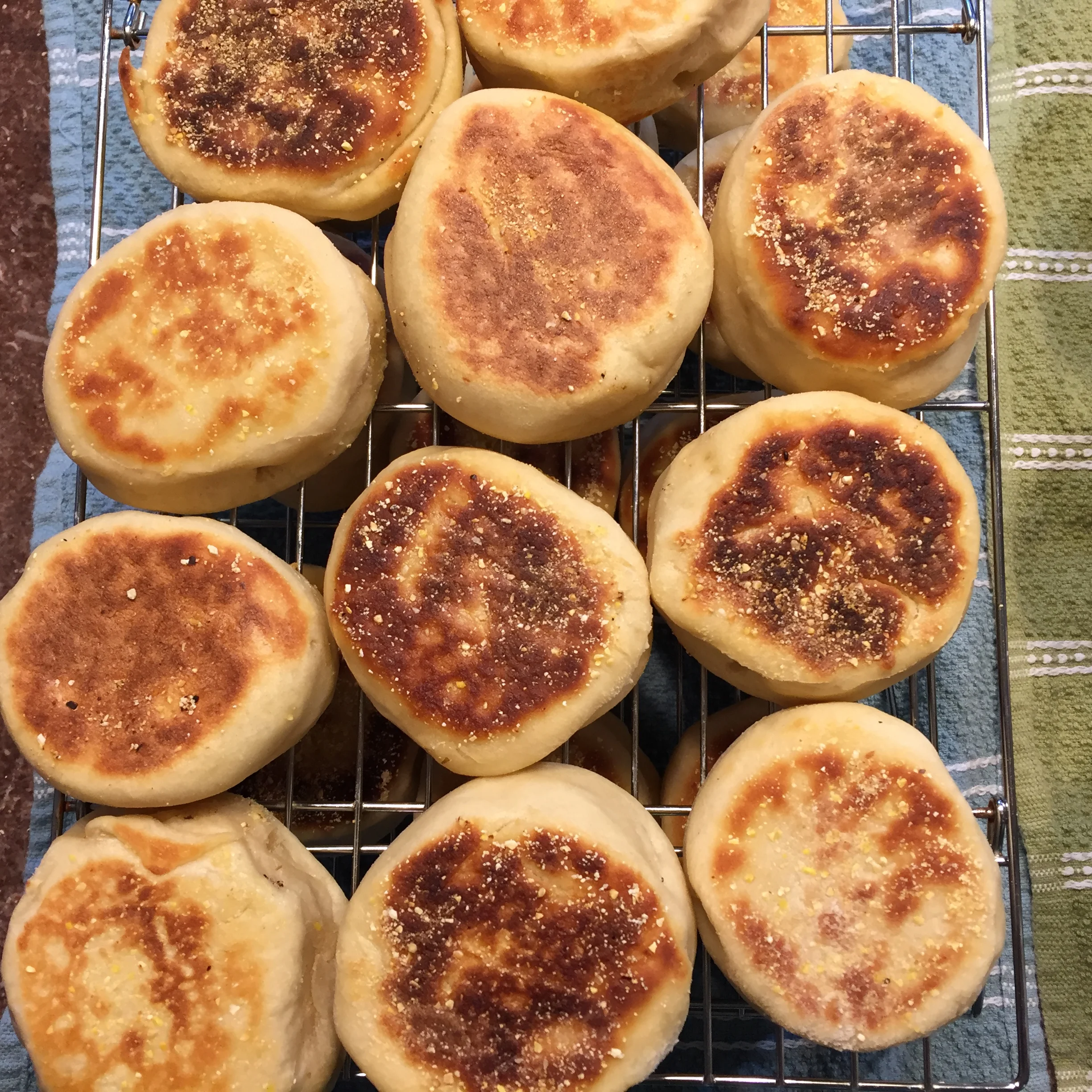 Classic Sourdough English Muffins