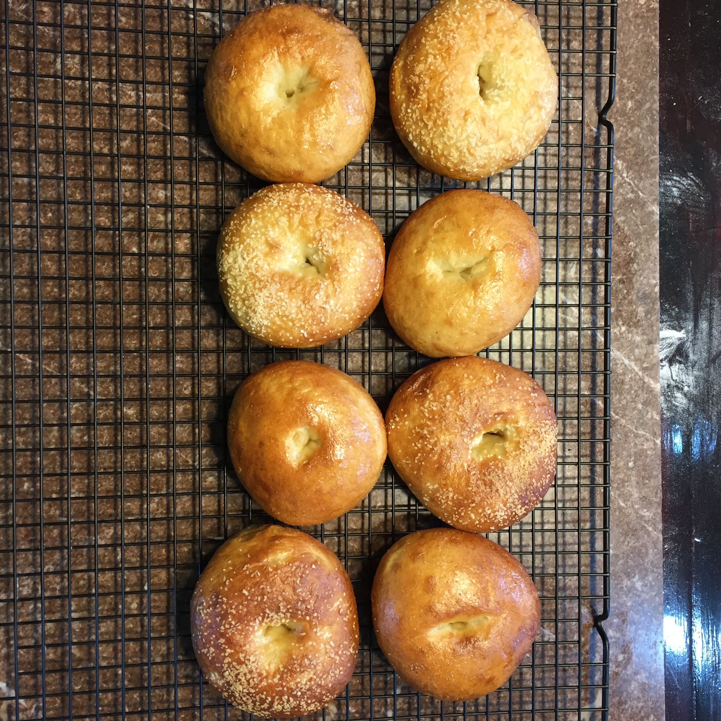 UNholy. . . NY Style Bagels