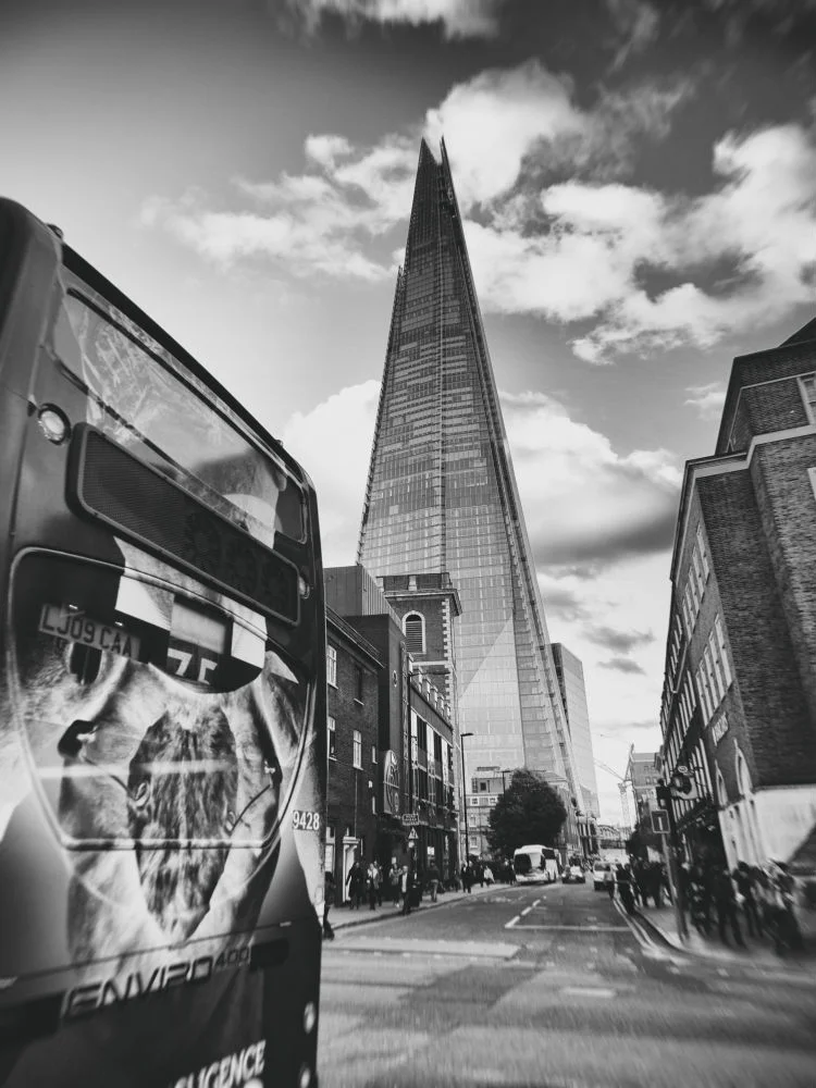 dannimages-next-stop-1000.jpg