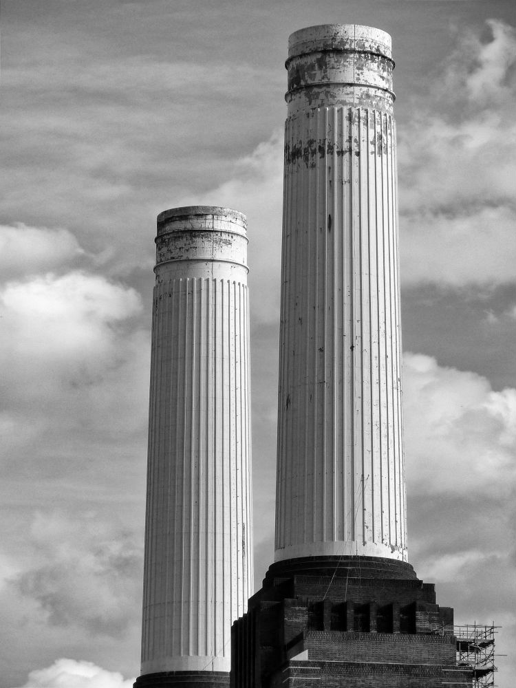 dannimages-standing-tall.jpg