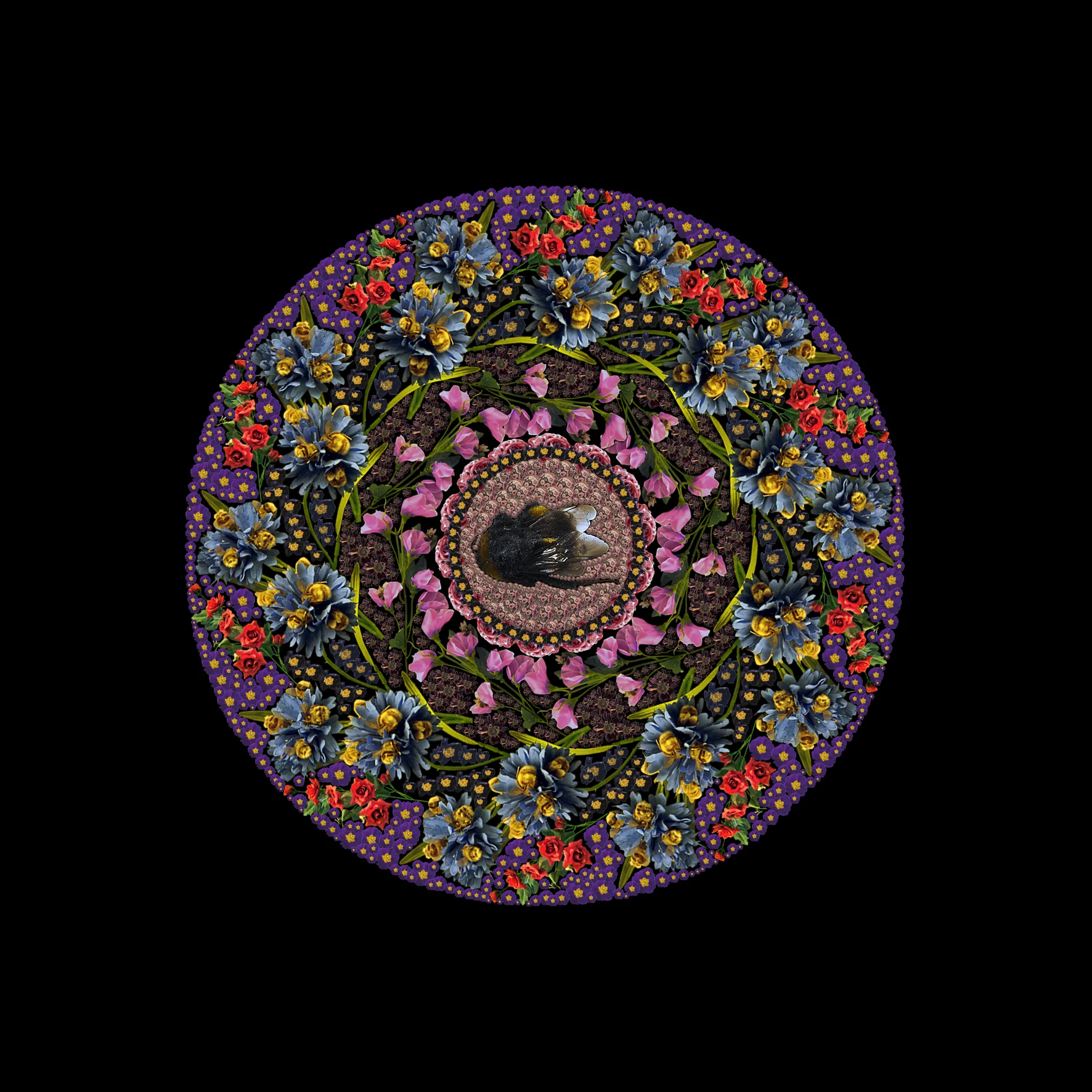 Fleur Alston - Kit and Caboodle 10