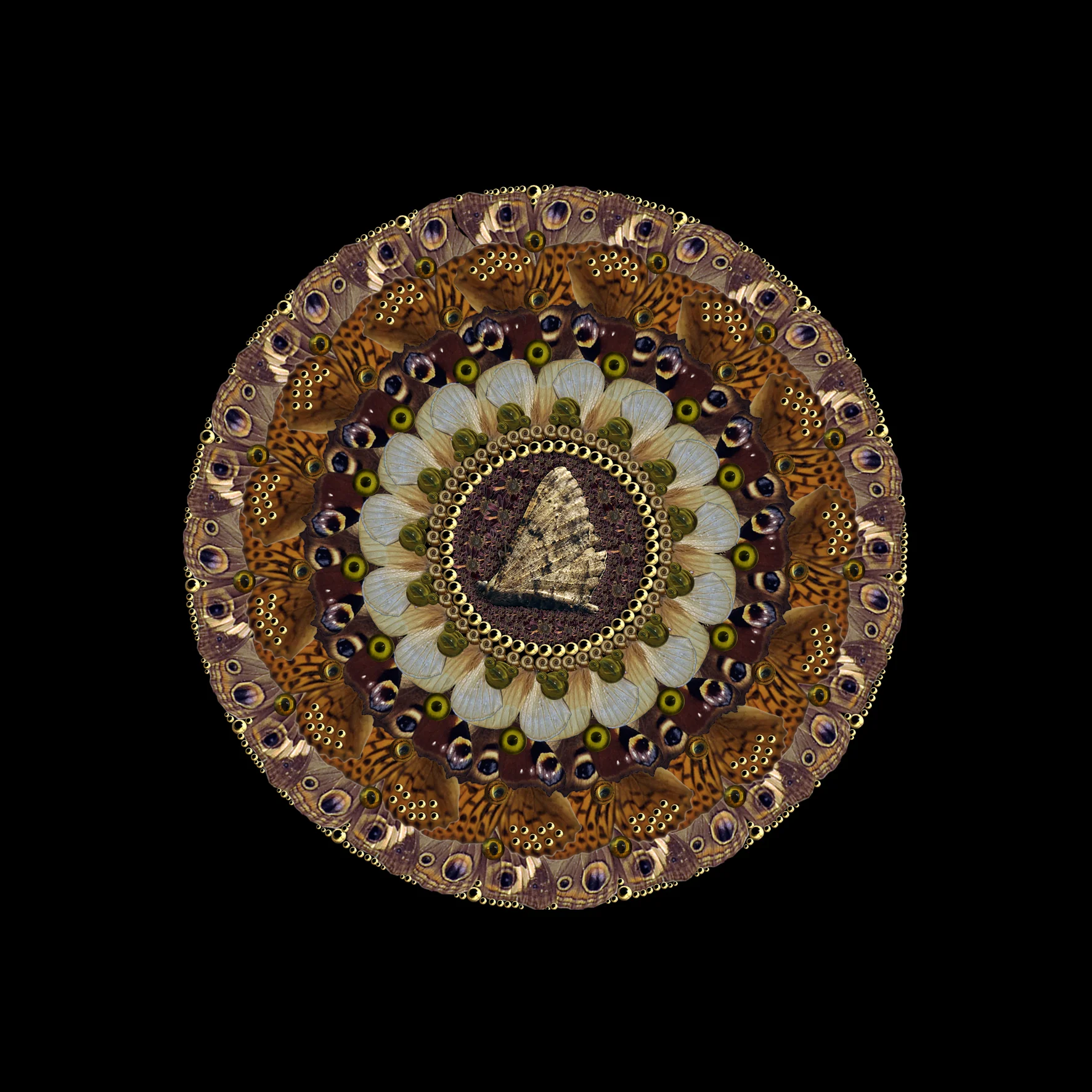 Fleur Alston - Kit and Caboodle 11