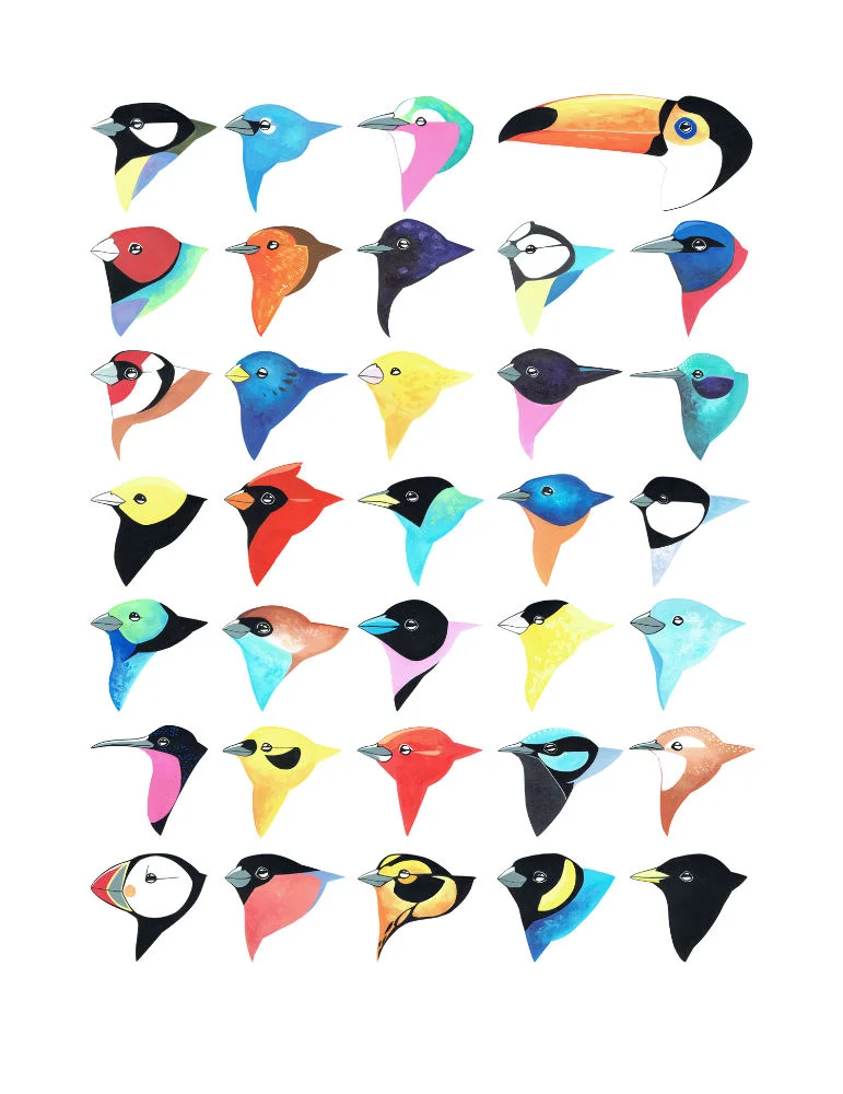 fran-giffard-thirty-five-birds-1000.jpg