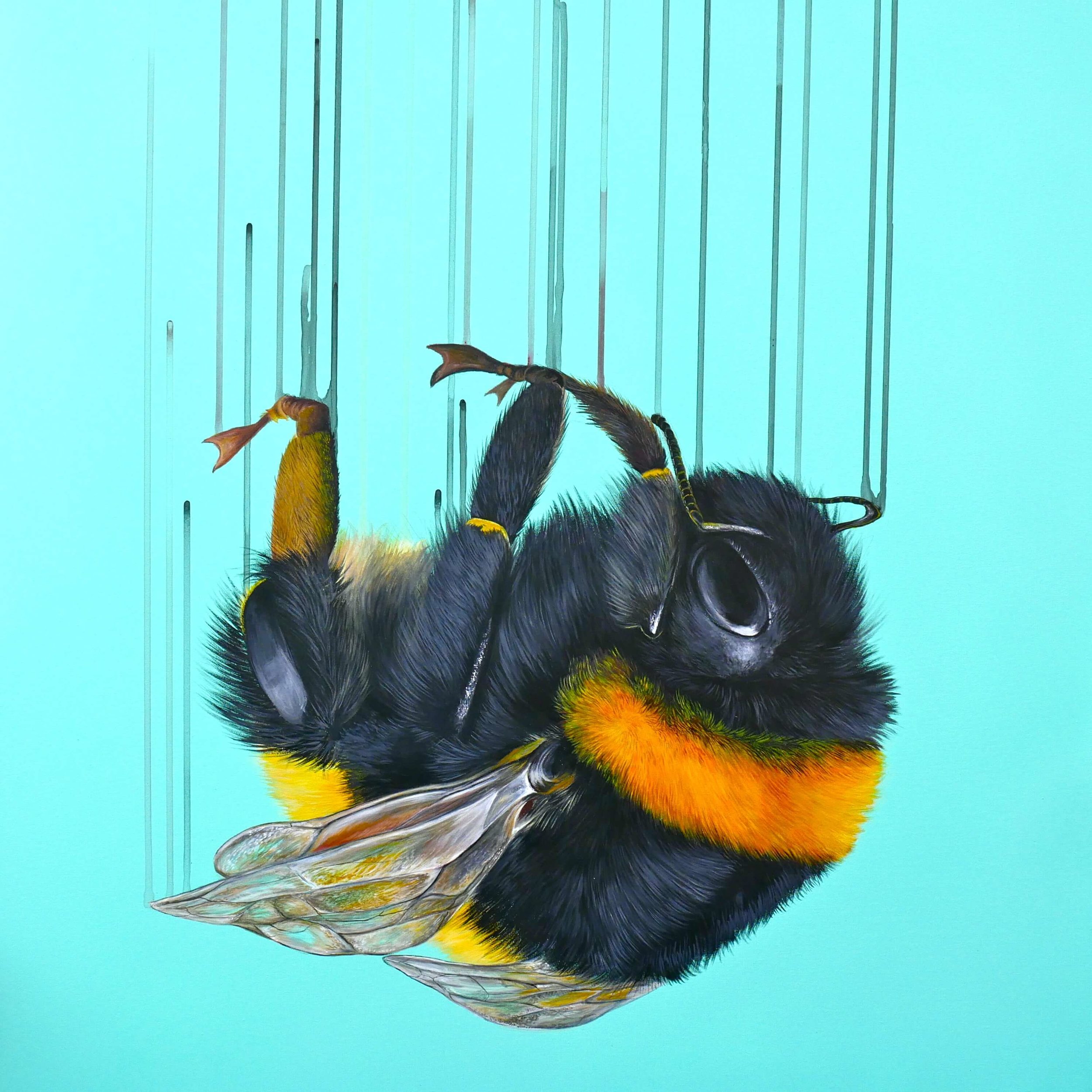 LOUISE MCNAUGHT