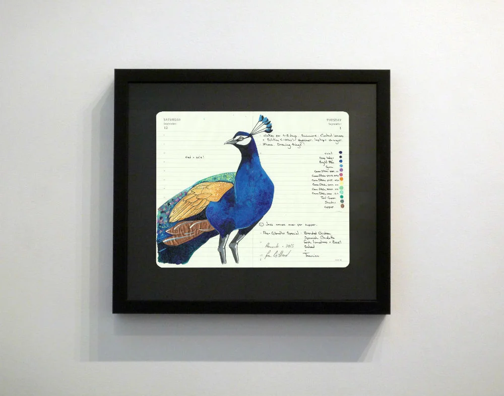 Peacock by Fran Giffard