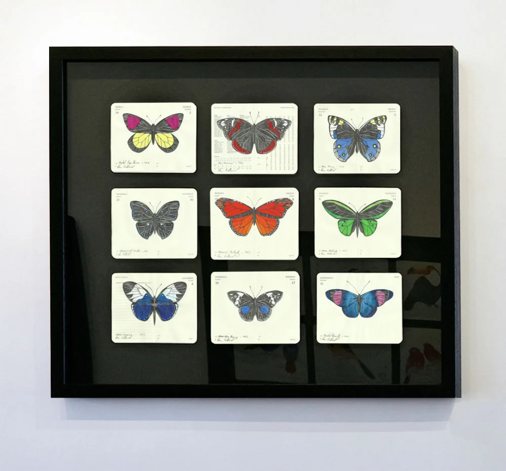 A Flutter by Fran Giffard
