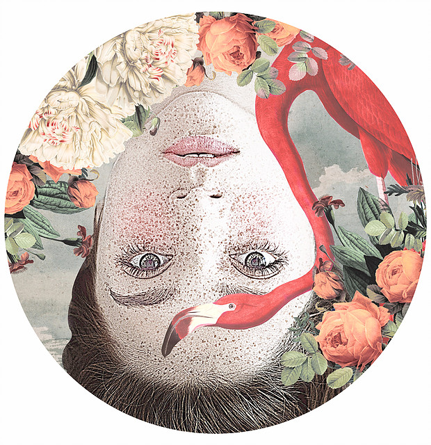 Freckled Flamingo - Alexandra Gallagher - web .jpg