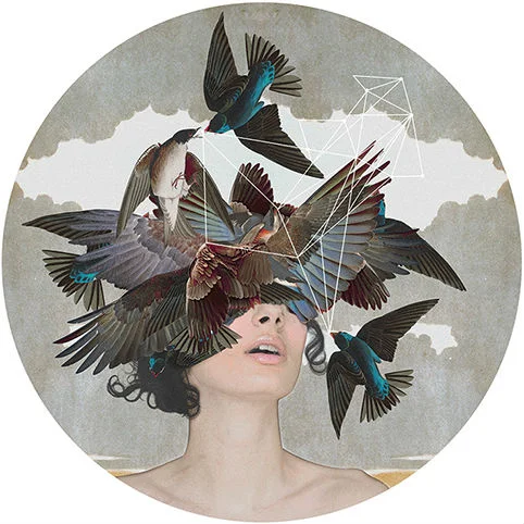 Alexandra Gallagher Swallow Blind Caiger Art