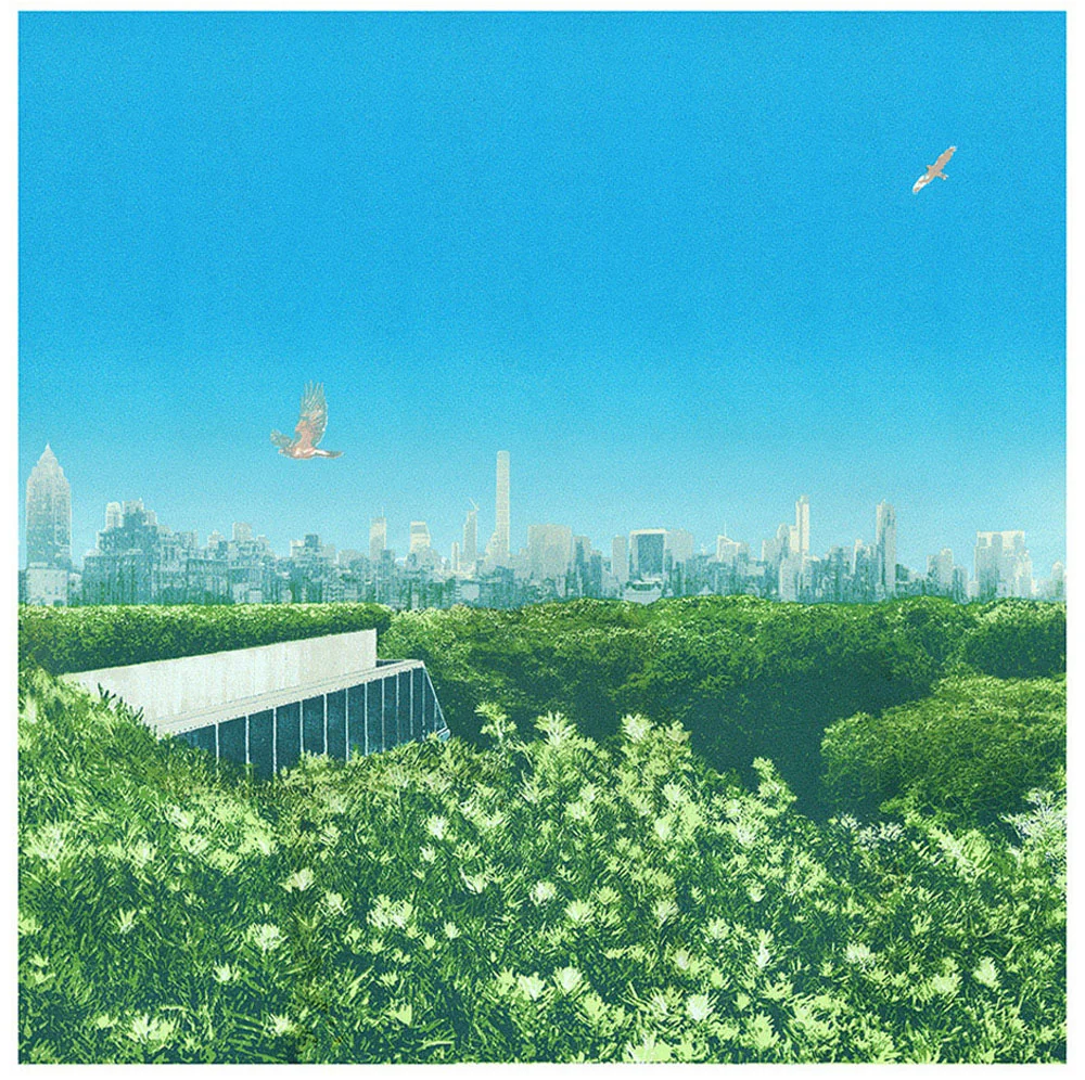 emma-reynolds-central-park-treetops.jpg