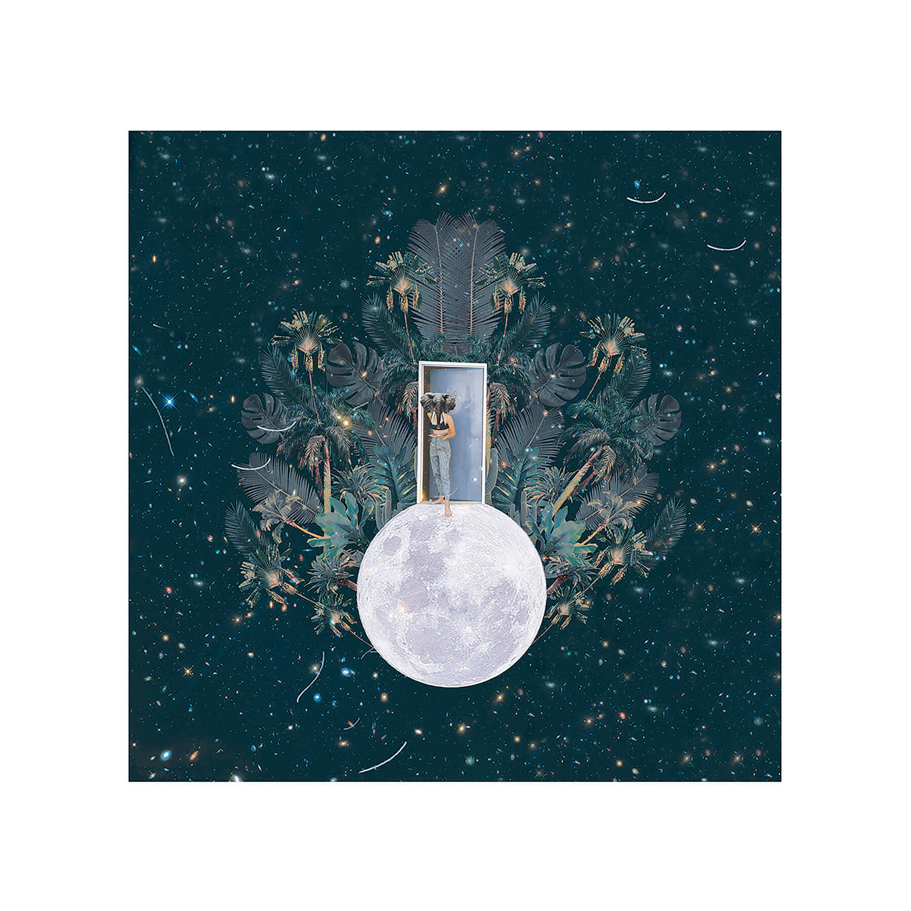 Fei Alexeli - Elephant Moon