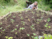  New Strawberry Plot!