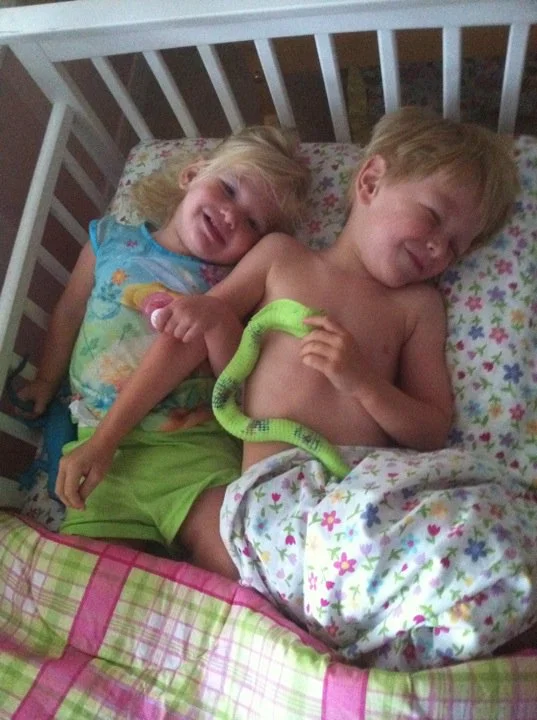 Trying to make me believe they are sweet innocent little people.