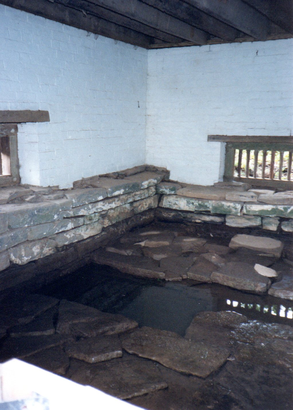 Springhouse interior, 1989