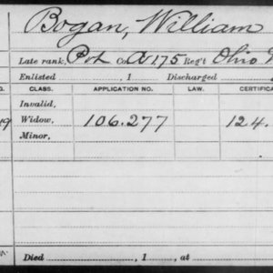 Pvt. William Bogan, Co. A, 175th OH Infantry, USA