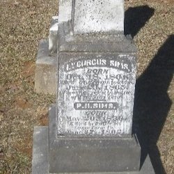 Sgt. Lycurgus Sims, Co. C, 31st MS Infantry, CSA