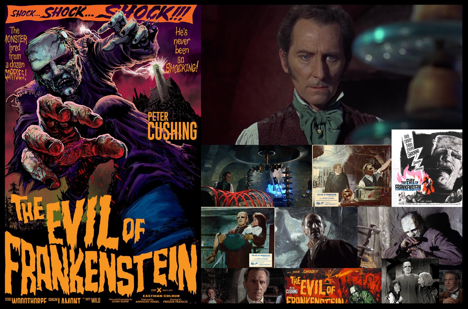 the evil of frankenstein.jpg