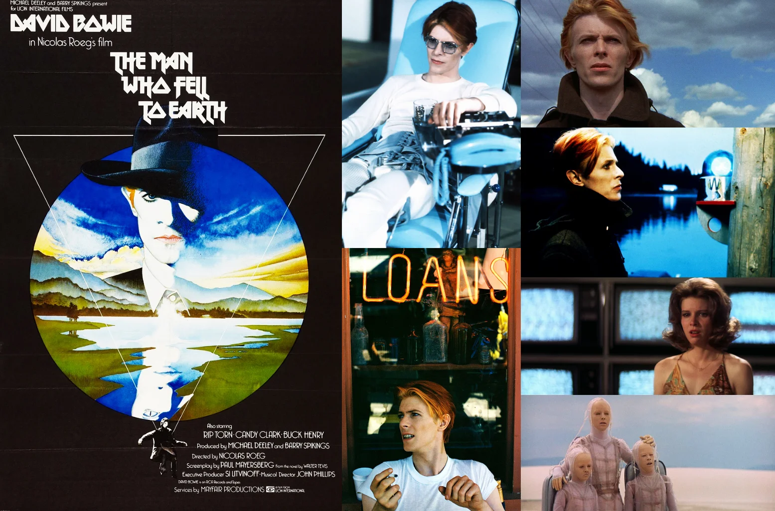 The man who fell to earth.jpg