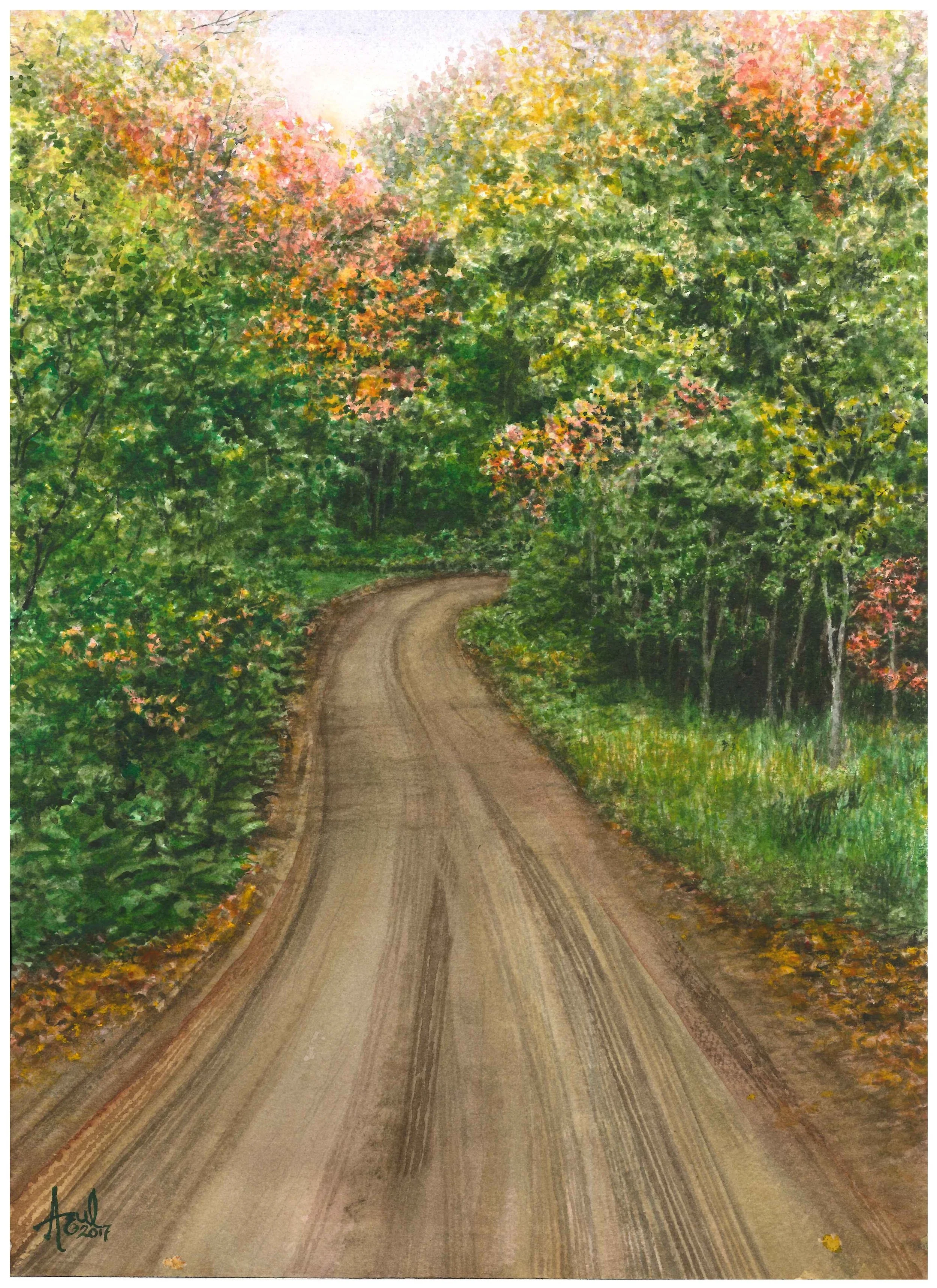 Winding Through the Autumn Wood 14 x 10"