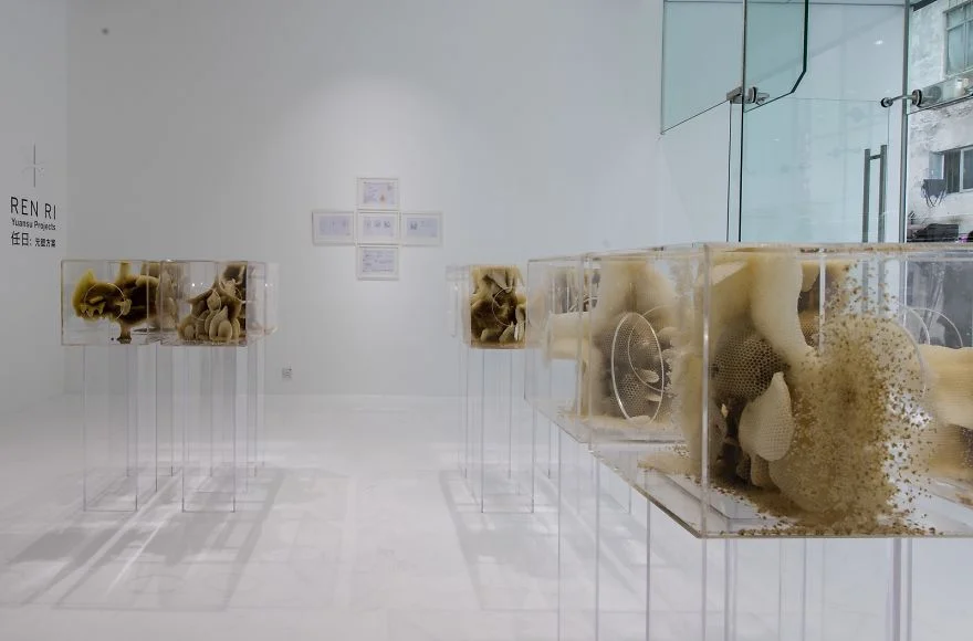 Ren-Ri_YuansuProjects006__880.jpg