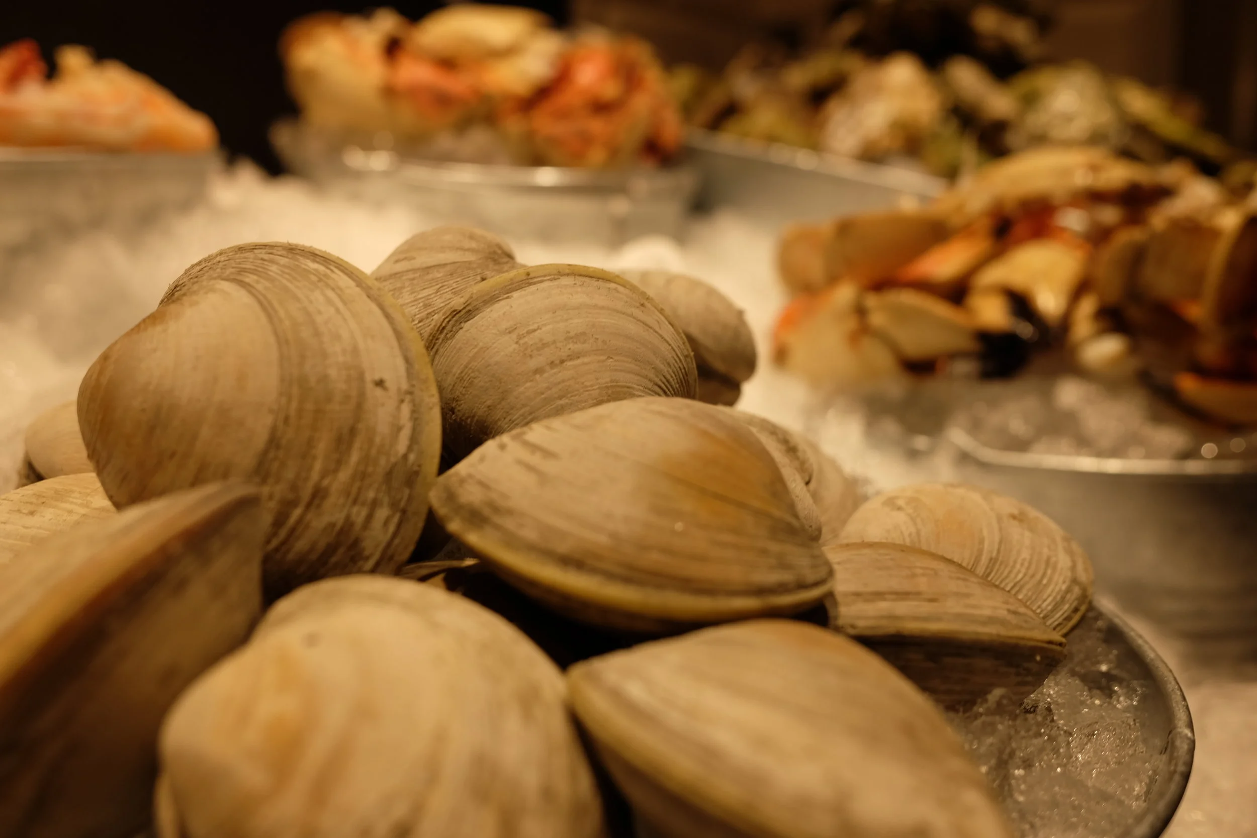 Meet Me At The Raw Bar