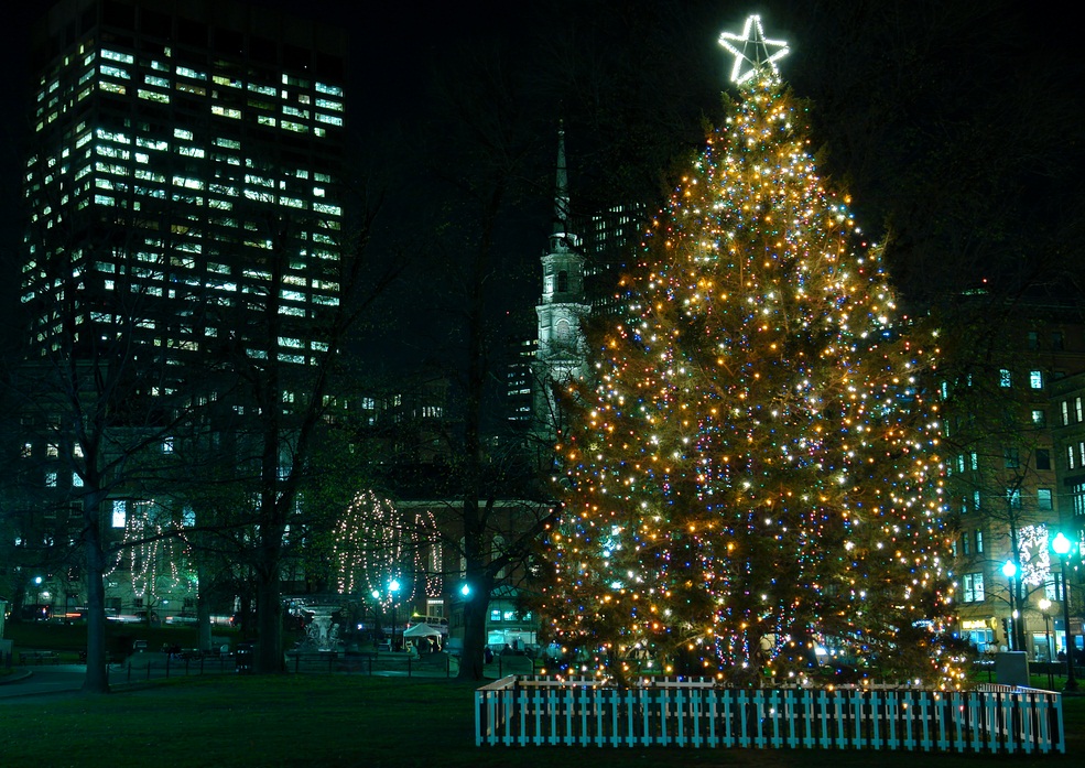 Holiday Cheer