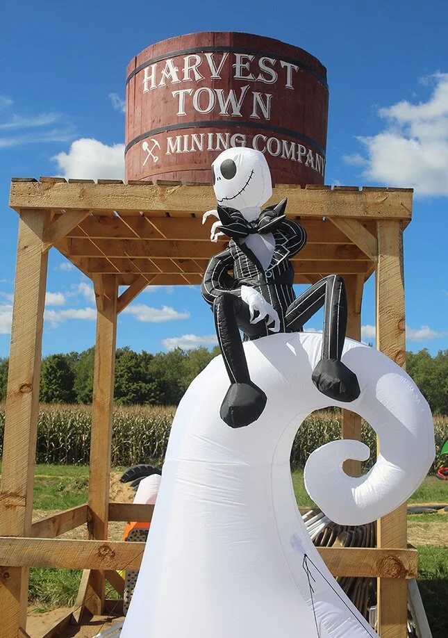 Record numbers enjoy family fun at Harvest Town Corn Maze — Gouverneur