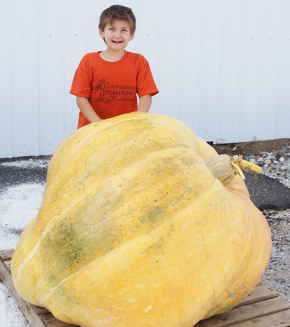   Brayden Clemons of Croghan wins the top prize in youth division for 9th Annual Gouverneur Pumpkin Fest’s Giant Pumpkin Weigh-Off Contest with his 752-pounder. Brayden told the local officials that he weighed it at 761 pounds before he left home. Th