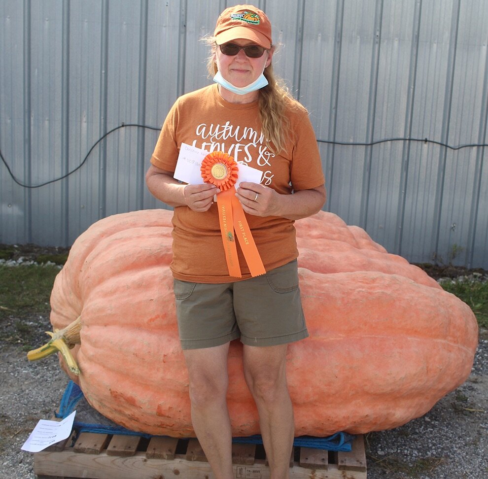   Christine Nolan of Champion won the top prize in the adult division during 9th Annual Gouverneur Pumpkin Fest’s Giant Pumpkin Weigh-Off Contest for her 1,108-pounder. (Rachel Hunter photo)  