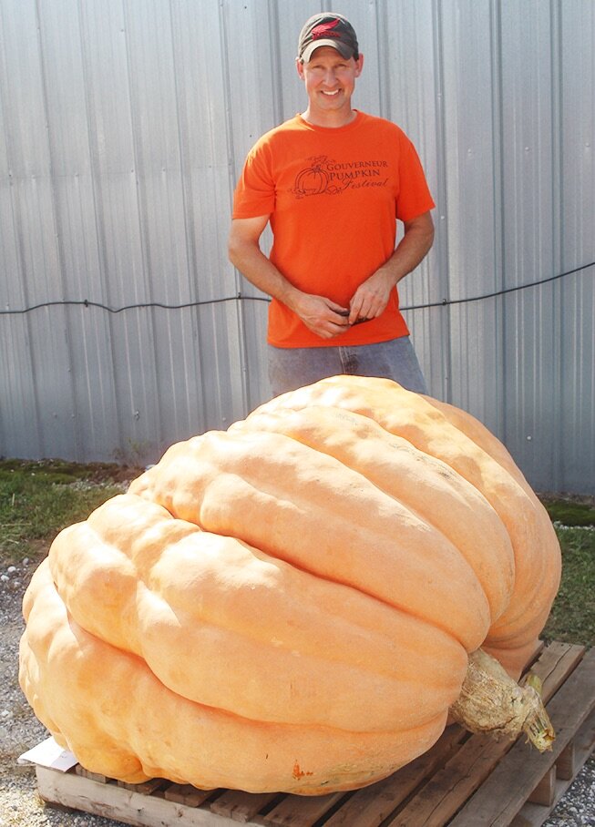   Travis Clemons of Croghan won second place in the adult division with his 949-pound pumpkin that he entered in the 9th Annual Gouverneur Pumpkin Fest’s Giant Pumpkin Weigh-Off Contest. (Rachel Hunter photo)  
