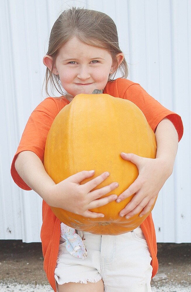   Lillyanna Clemons of Croghan shows off her 14-pound pumpkin that she entered in the 9th Annual Gouverneur Fest’s Giant Pumpkin Weigh-Off Contest. (Rachel Hunter photo)  