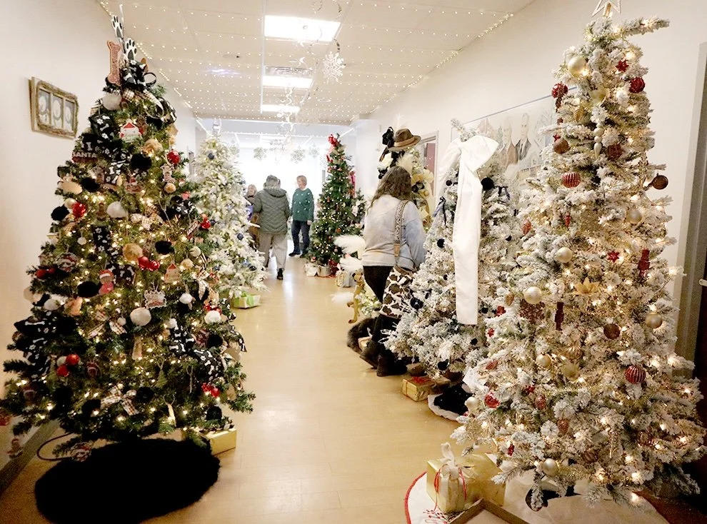 FRONT _ Festival of Trees 2 pic copy.jpg