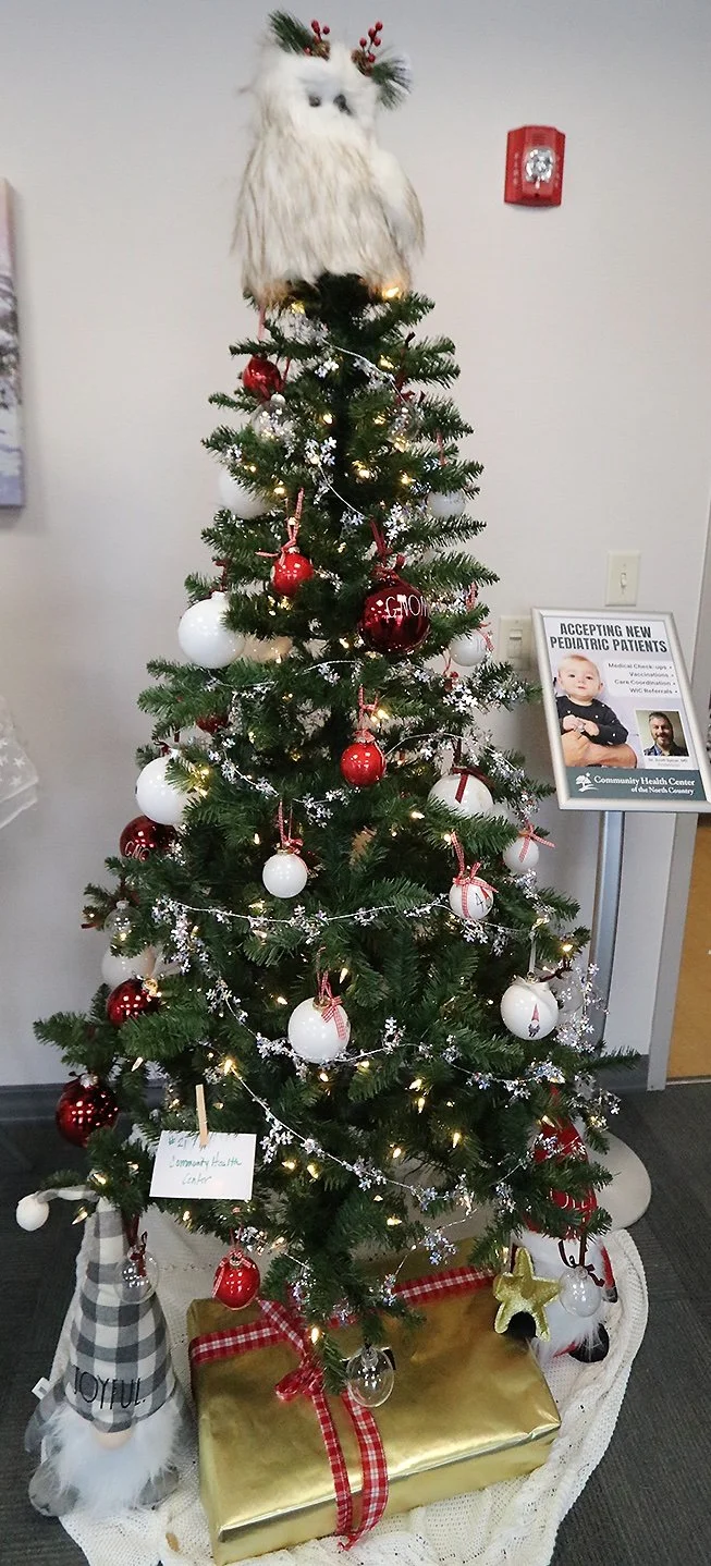 FRONT _ Festival of Trees 6 pic copy.jpg