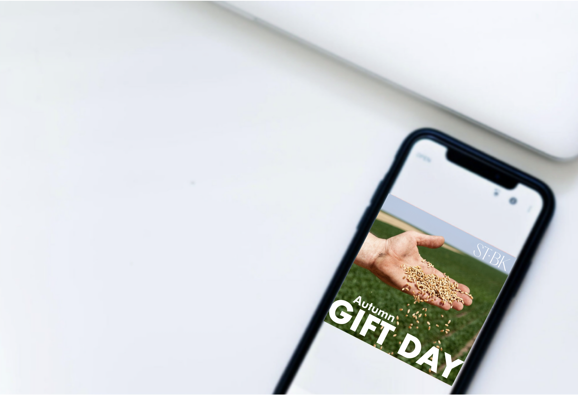Autumn Gift Day.png