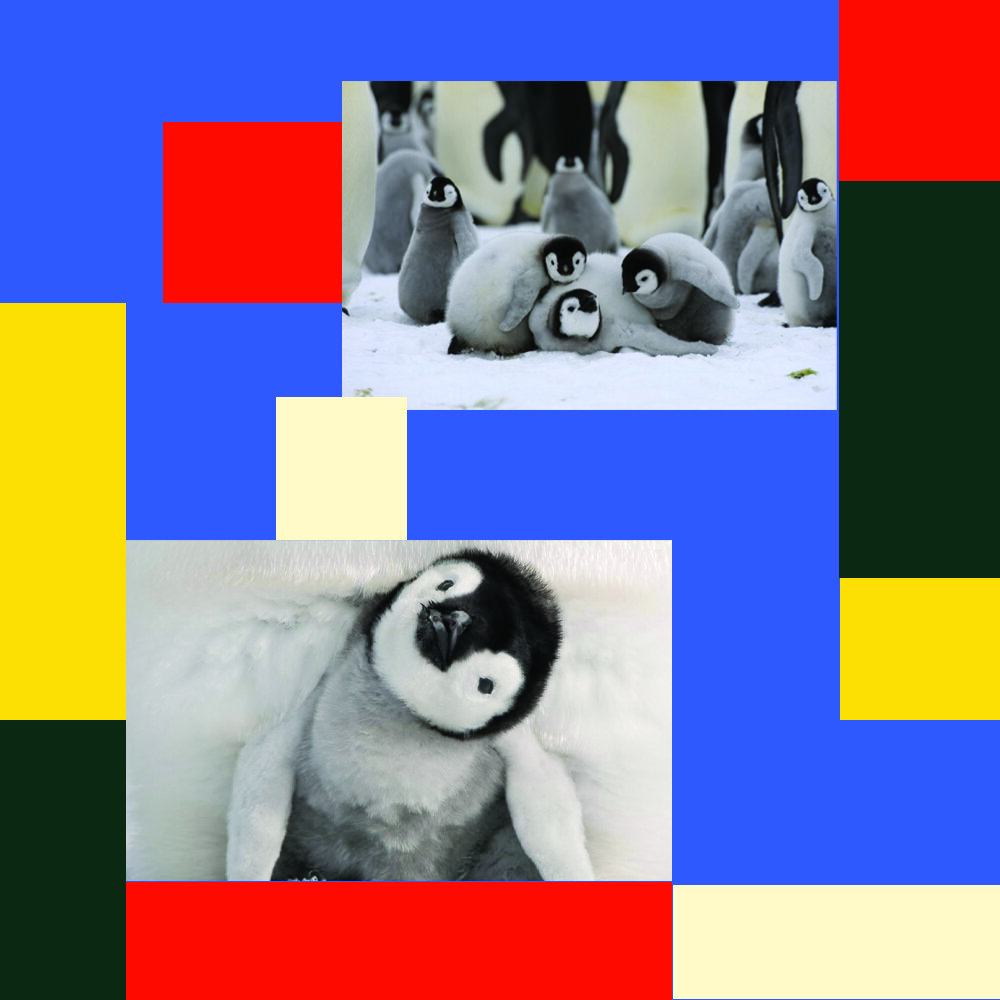 consentform.jpg