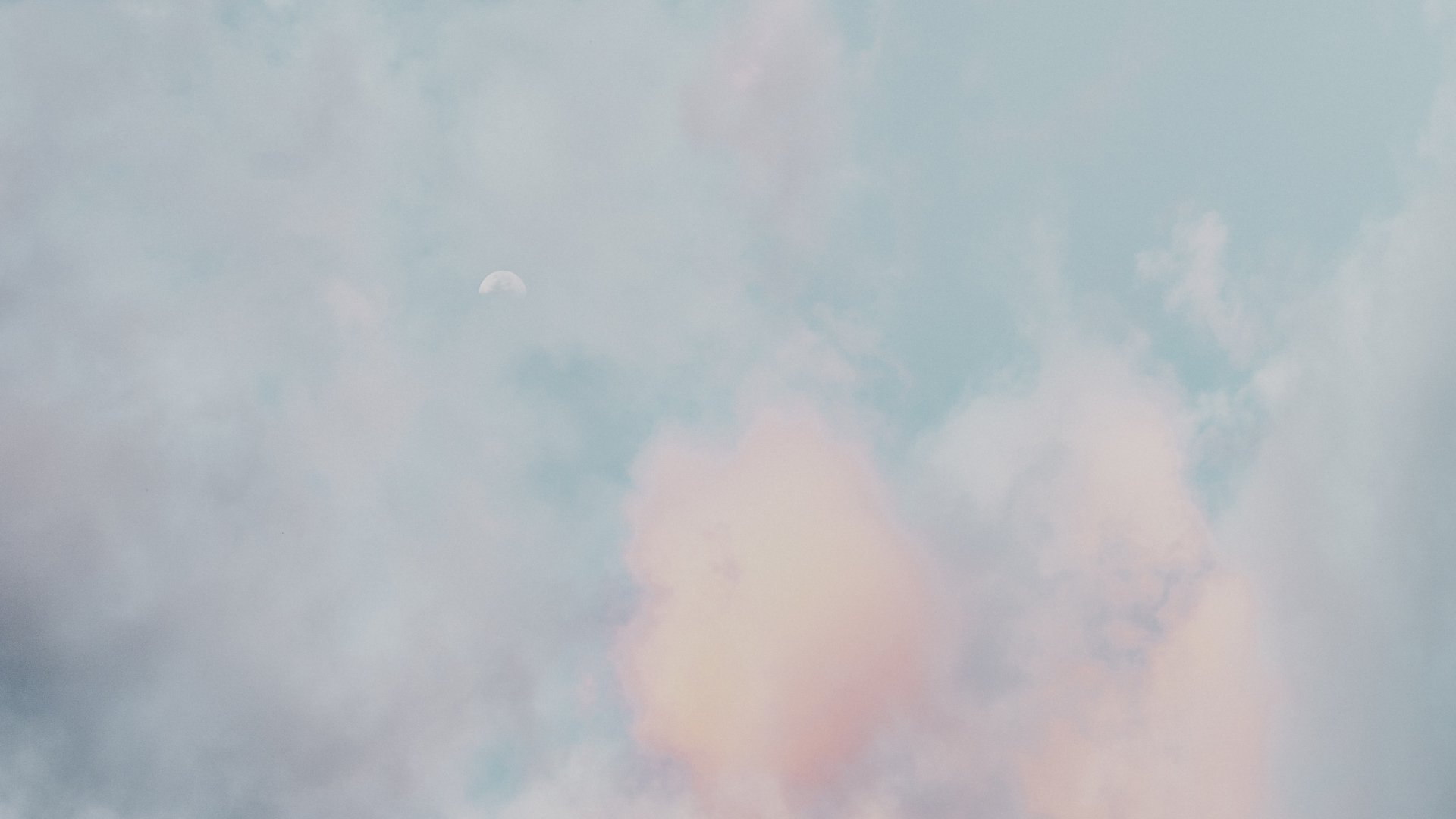 Untitled design (42).png