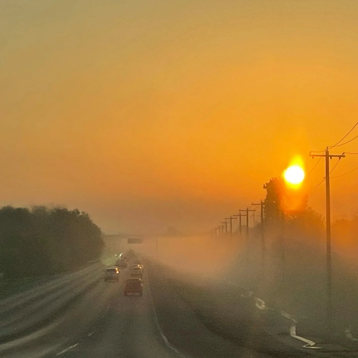 #foggy #morning #mood