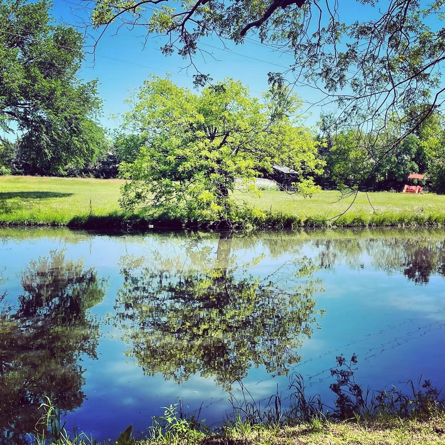 #HappyMonkeyFarms #Mansfield #mansfieldtx @happymonkeyfarms