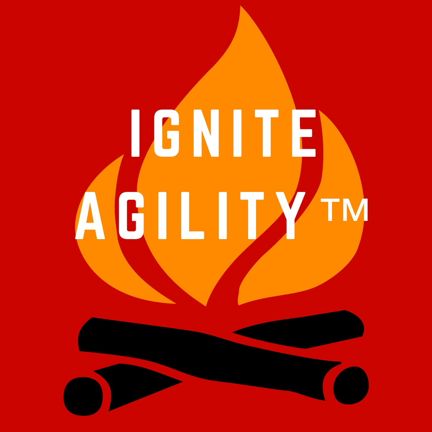 Ignite Agility™ with Rob Meyers -episode 01